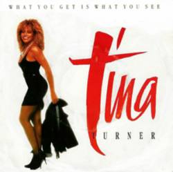 Tina Turner : What You Get Is What You See